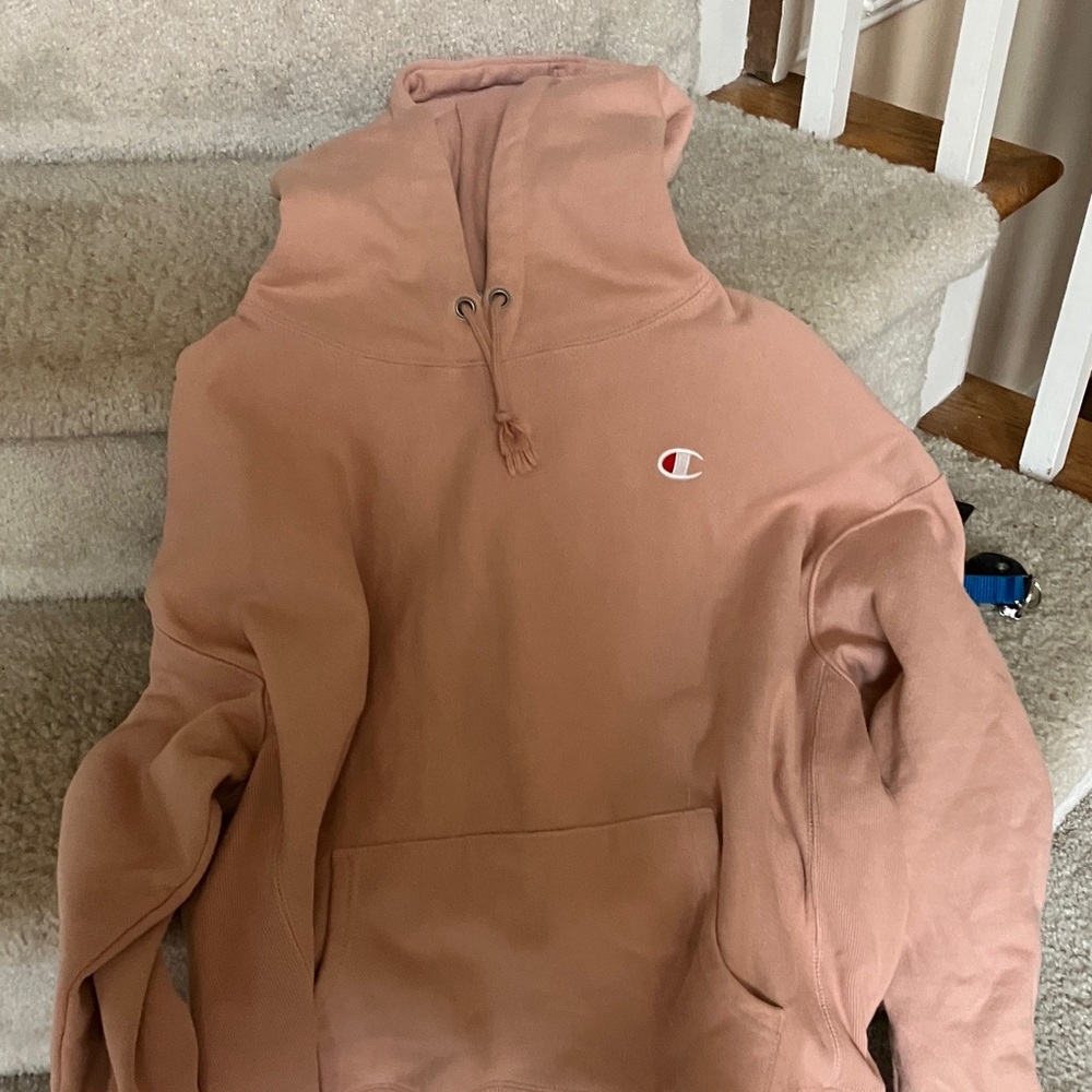 Champion Reverse weave dusty pink hoody.  Size XL per tag but it’s more medium